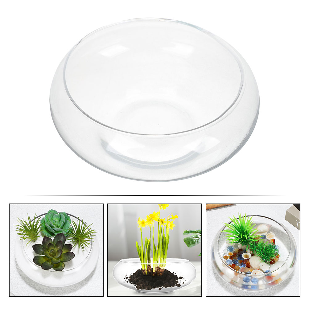 Wide Mouth Glass Vase Narcissu - Propagation Station Vase บทวิจารณ์และราคา