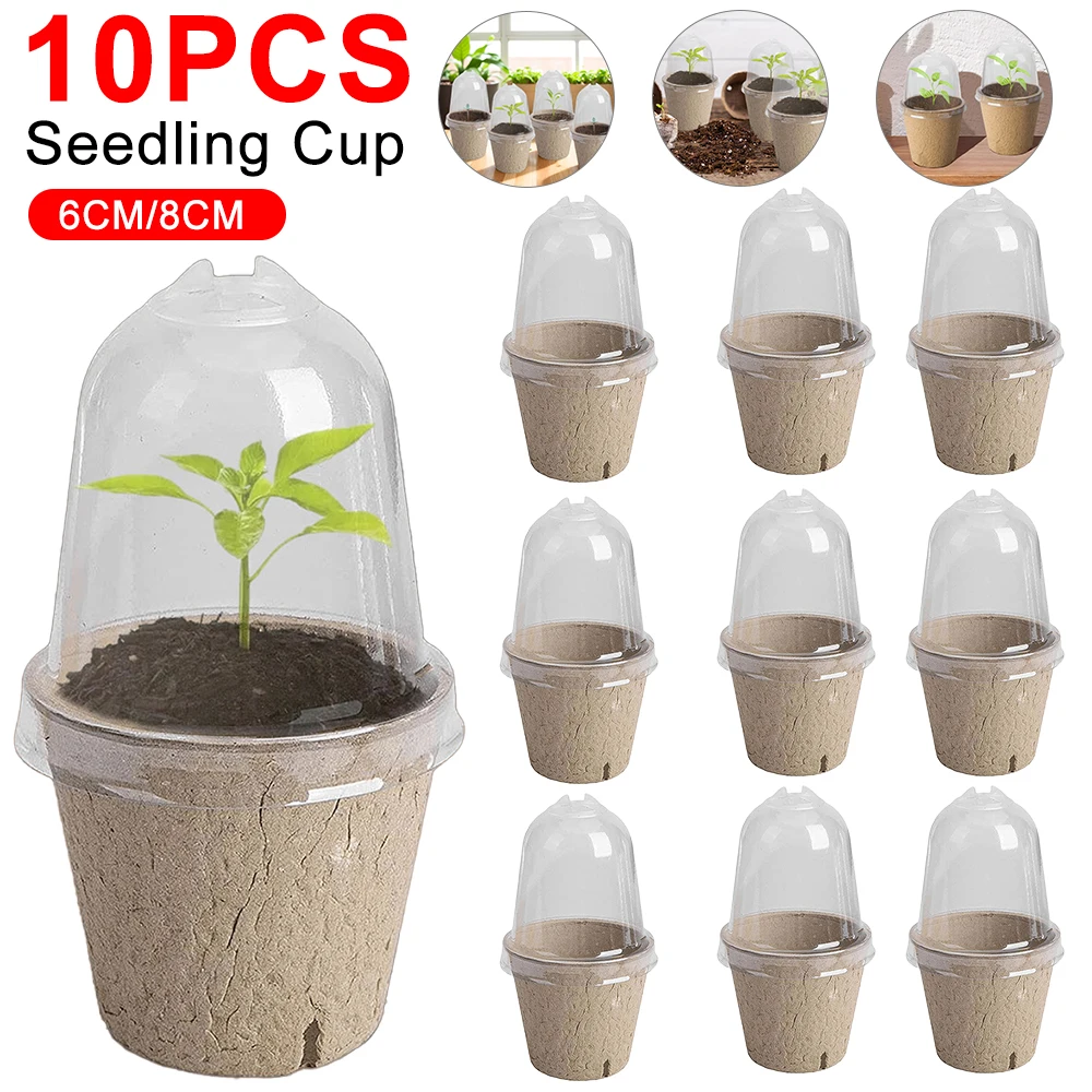 10pcs Garden Round Peat Pots P - Peat Pellet Tray บทวิจารณ์และราคา