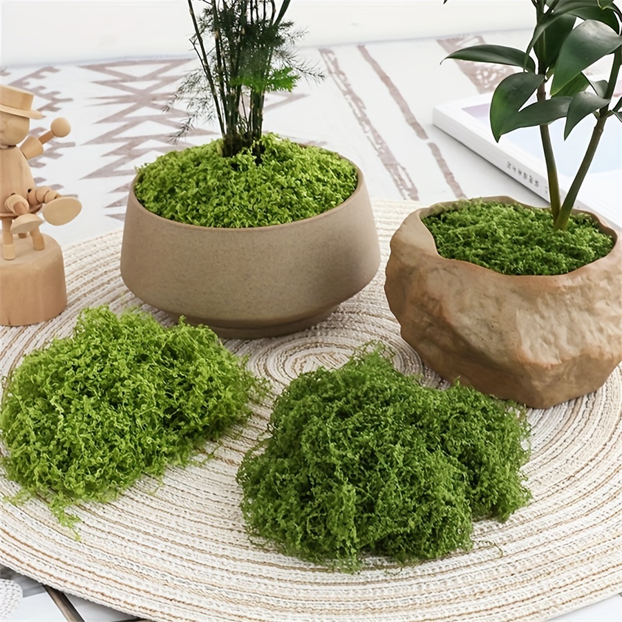 1pack Artificial Fake Moss, 1. - Sphagnum Moss Dry บทวิจารณ์และราคา