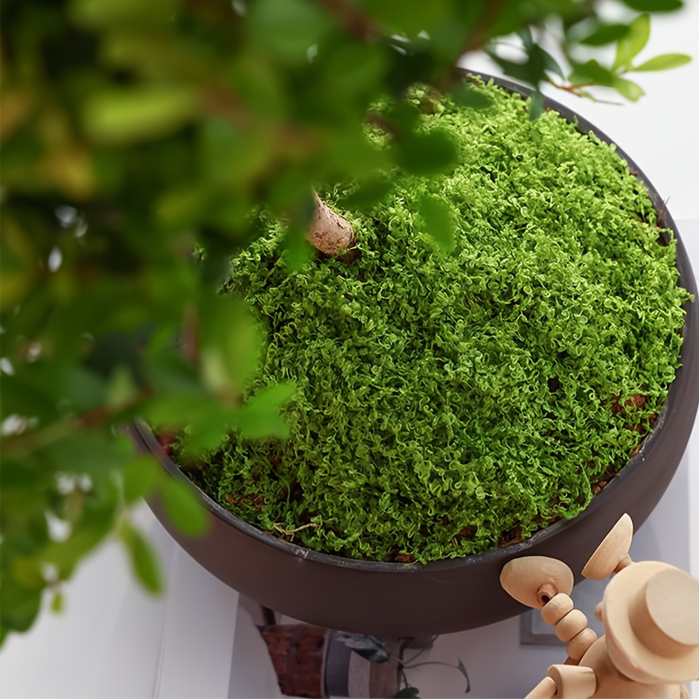 1pack Artificial Fake Moss, 1. - Sphagnum Moss Dry บทวิจารณ์และราคา