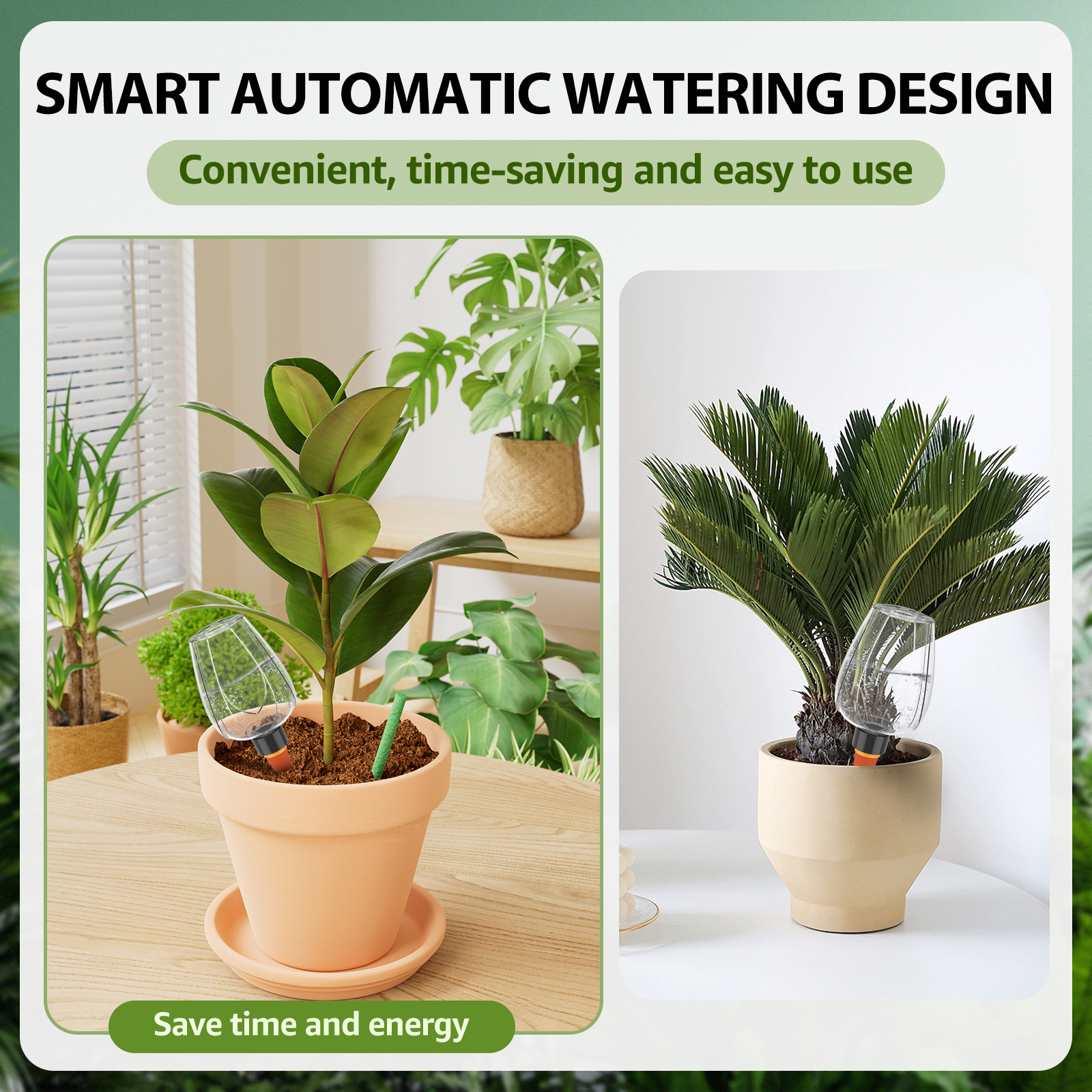 4Pcs Plant Watering Globe Clea - Self Watering Insert บทวิจารณ์และราคา