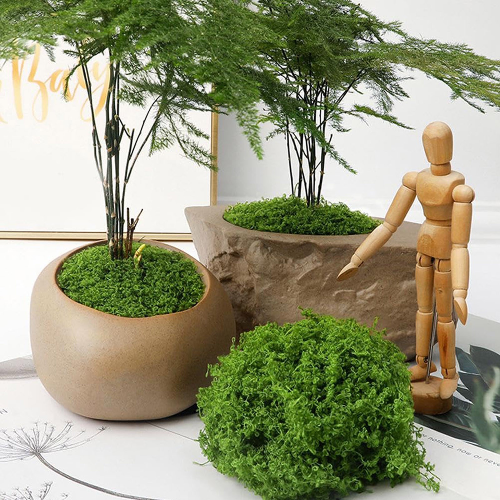 50/200g Artificial Moss For De - Sphagnum Moss Dry บทวิจารณ์และราคา