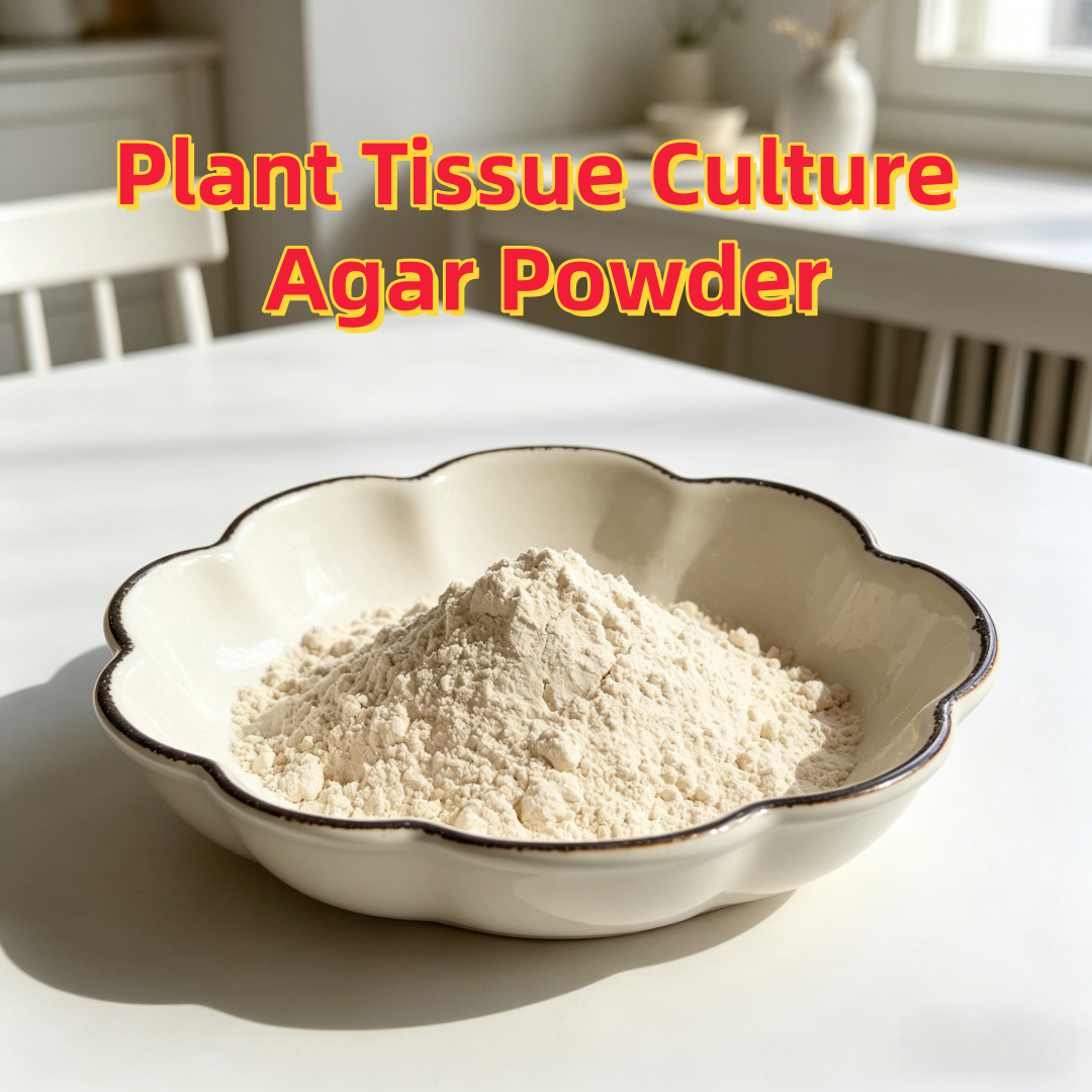 High Gel Strength Plant Tissue - Agar Tissue Culture บทวิจารณ์และราคา