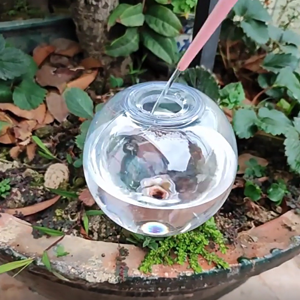 500ML Self Watering Globes Dri - Self Watering Insert บทวิจารณ์และราคา