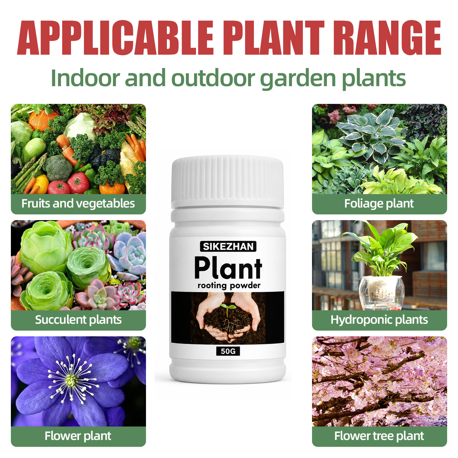 50g Rapid Rooting Powder Plant - Rooting Hormone Powder บทวิจารณ์และราคา