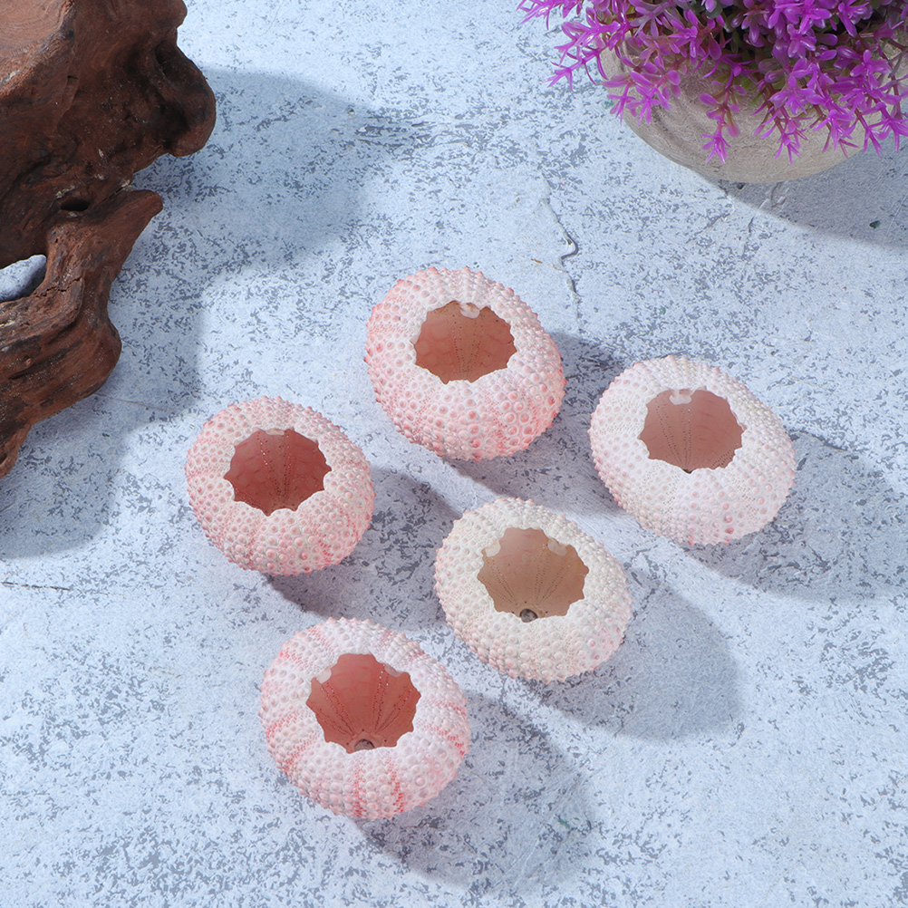 10Pcs DIY Jewelry Making Sea S - Propagation Station Vase บทวิจารณ์และราคา