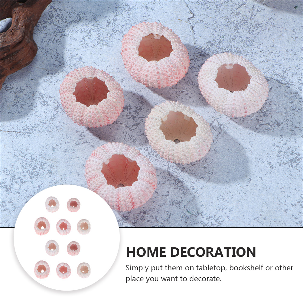10Pcs DIY Jewelry Making Sea S - Propagation Station Vase บทวิจารณ์และราคา