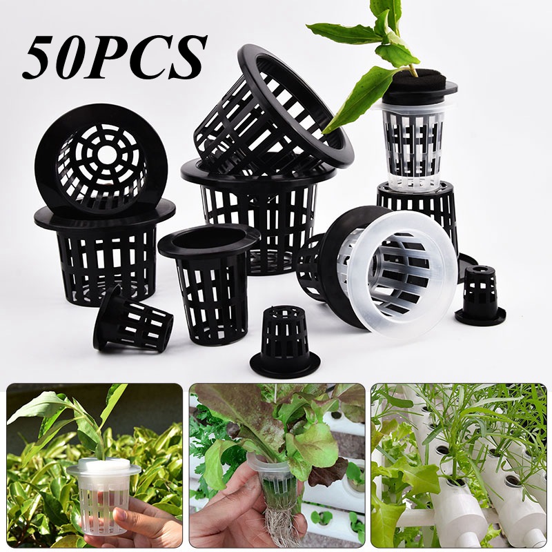 50Pcs Black White Soilless Mes - Self Watering Insert บทวิจารณ์และราคา