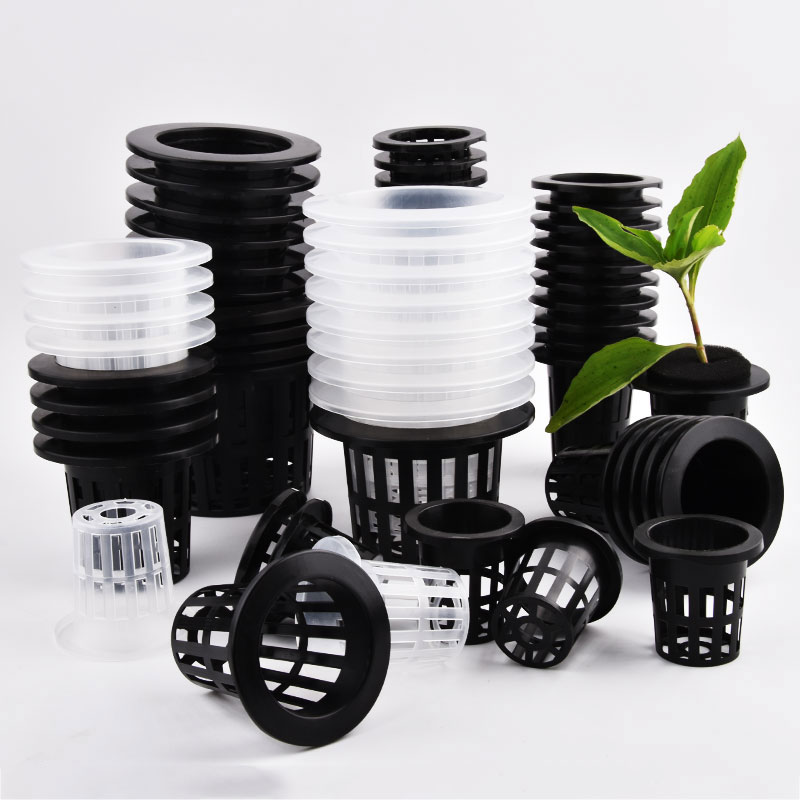 50Pcs Black White Soilless Mes - Self Watering Insert บทวิจารณ์และราคา