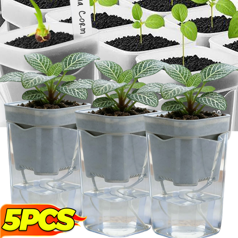 Transparent Flower Plant Pot S - Self Watering Insert บทวิจารณ์และราคา