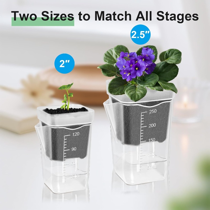 Transparent Flower Plant Pot S - Self Watering Insert บทวิจารณ์และราคา