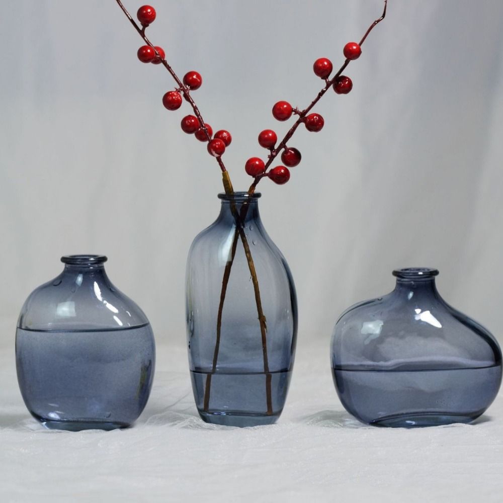 Fashion Retro Flower Vase Glas - Propagation Station Vase บทวิจารณ์และราคา
