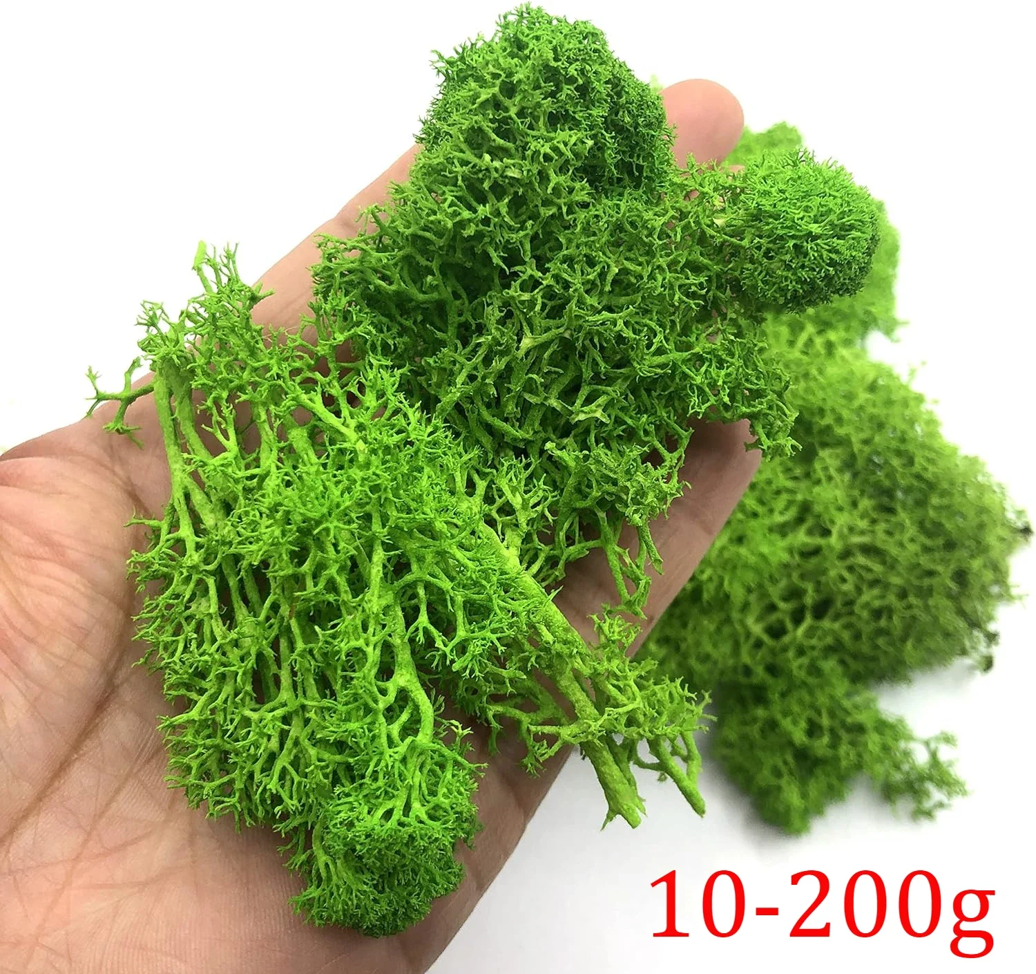 200g Artificial Green Plants M - Sphagnum Moss Dry บทวิจารณ์และราคา