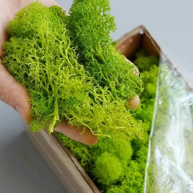 200g Artificial Green Plants M - Sphagnum Moss Dry บทวิจารณ์และราคา