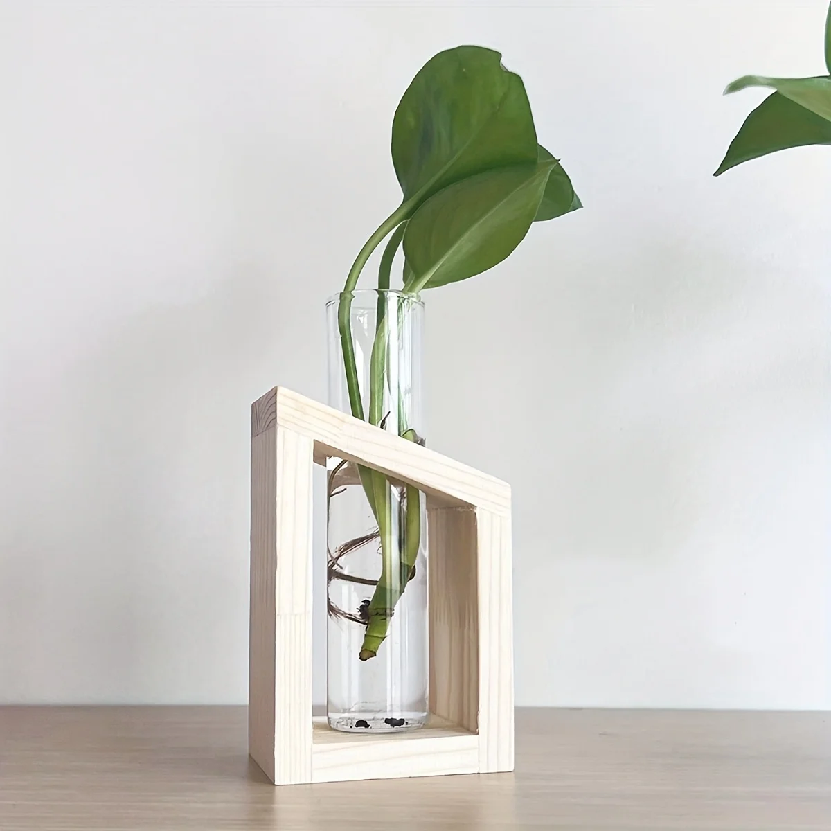 Test Tube Glass Vase Plant Pro - Propagation Station Vase บทวิจารณ์และราคา