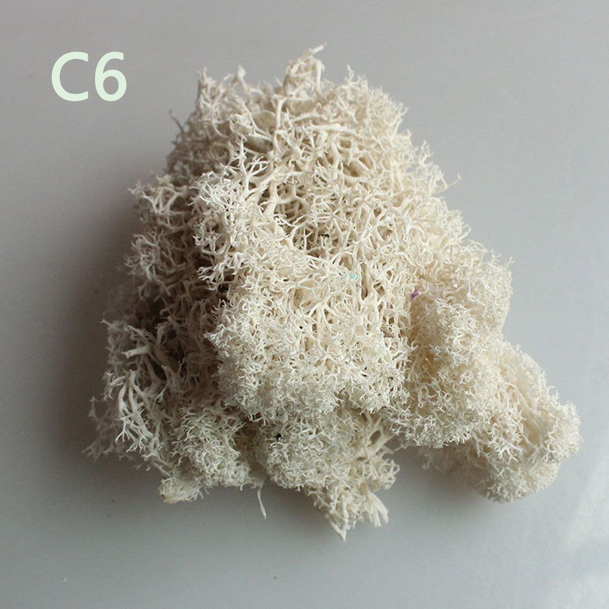 Colorful DIY Home Decor Christ - Sphagnum Moss Dry บทวิจารณ์และราคา