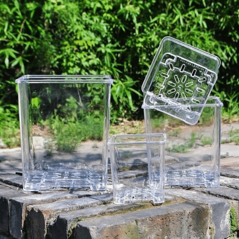 Transparent Material Acrylic P - Self Watering Insert บทวิจารณ์และราคา