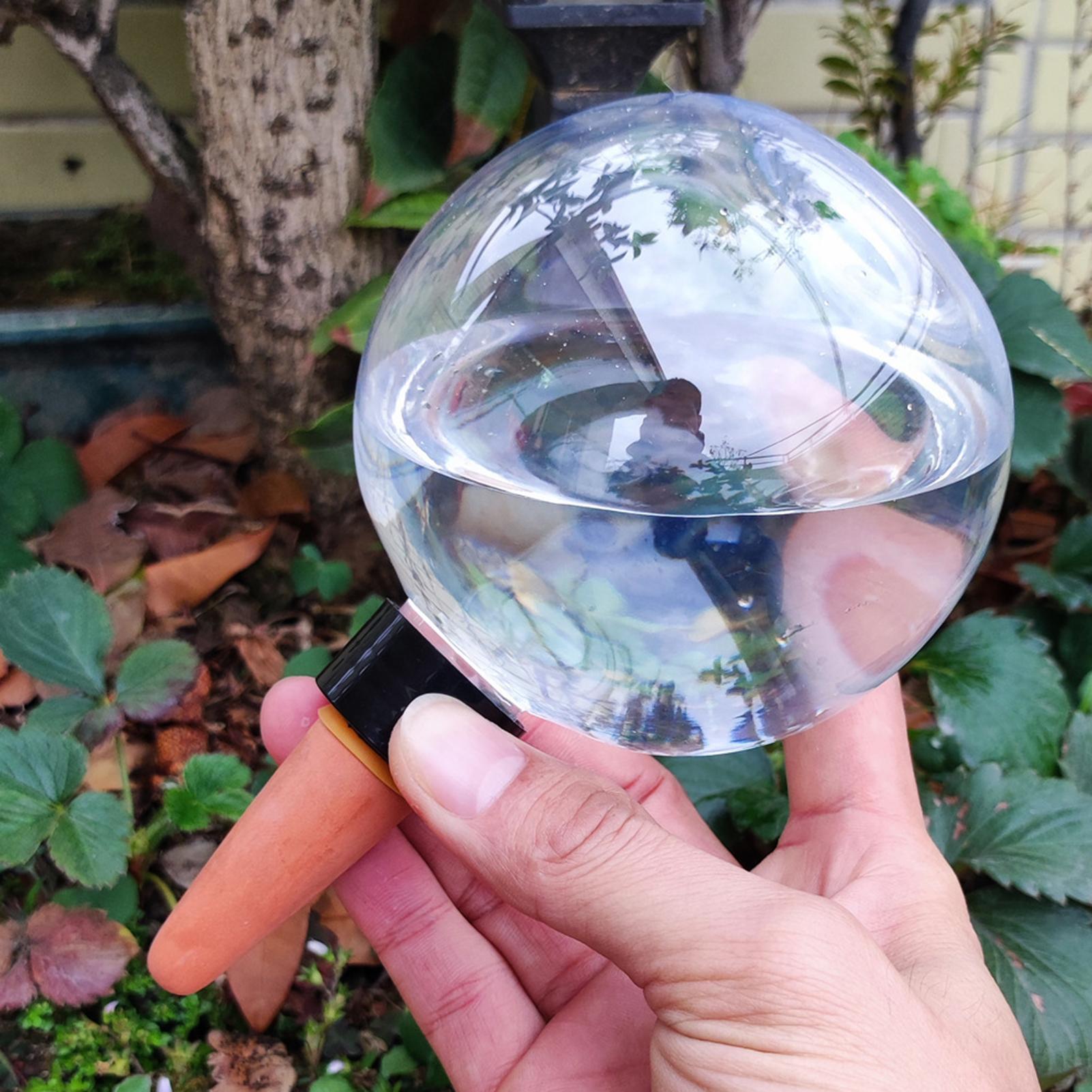 500ml Automatic Plant Watering - Self Watering Insert บทวิจารณ์และราคา