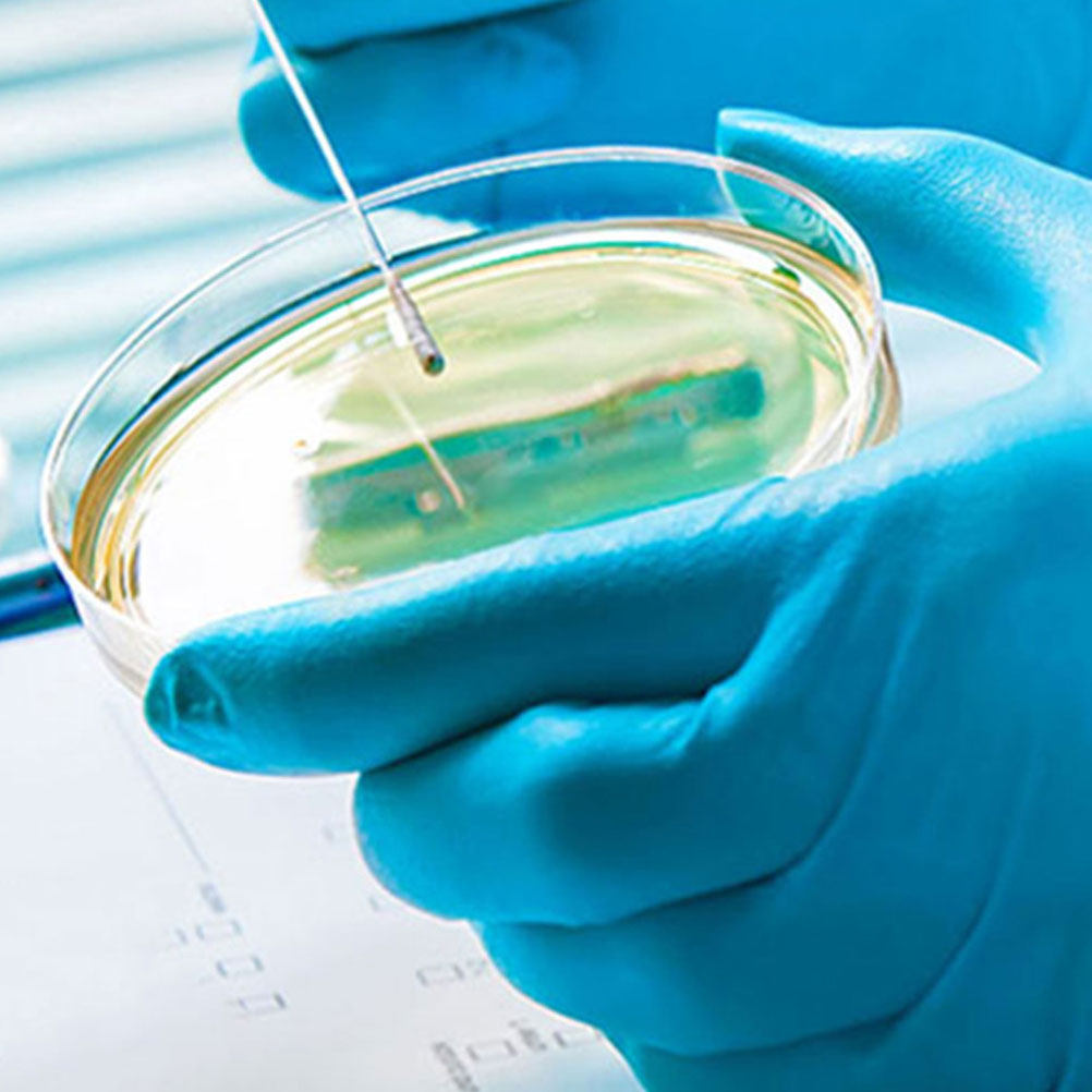 10Pcs Plastic Petri Dishes Tra - Agar Tissue Culture บทวิจารณ์และราคา