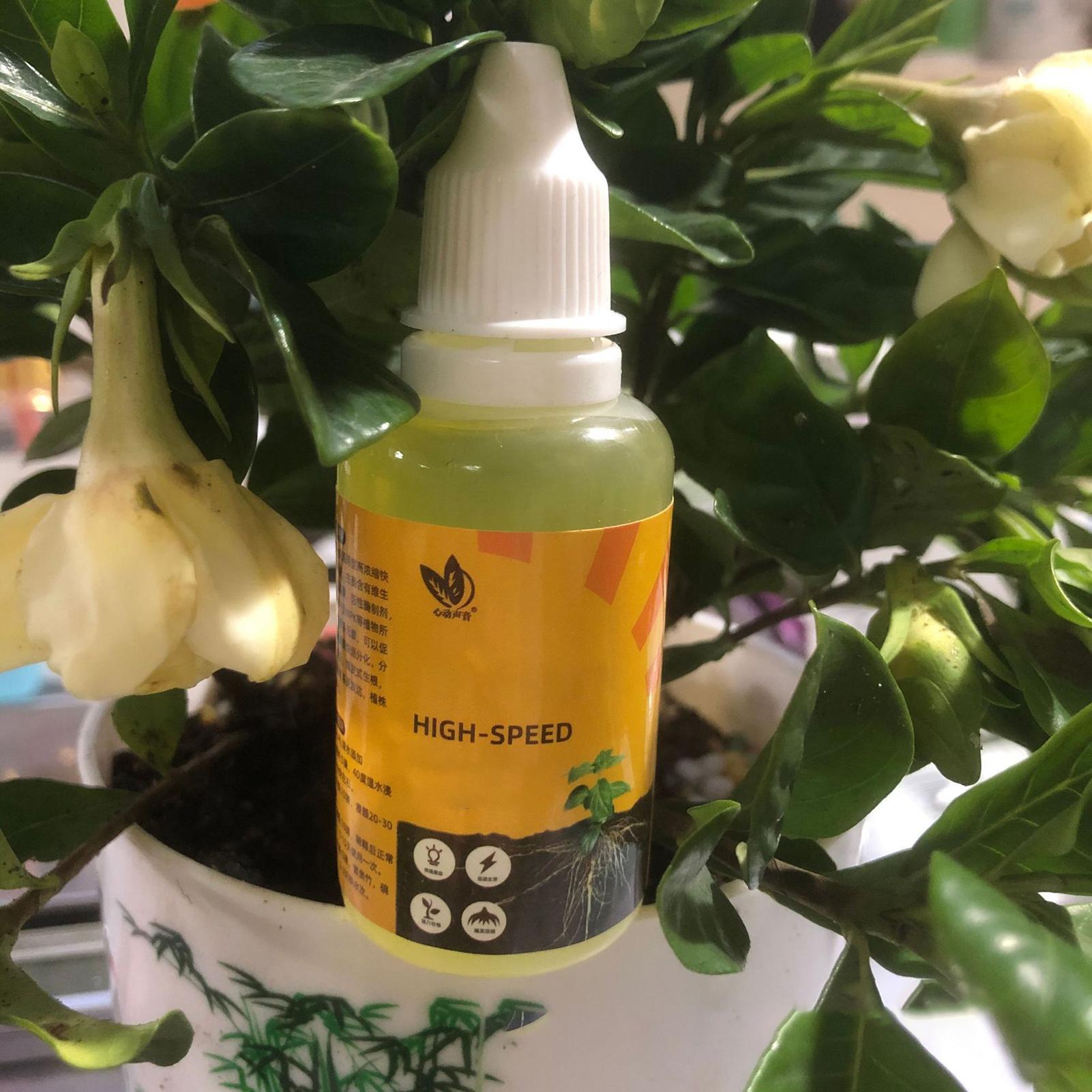 Fast Potting Rooting Plant Nut - Root Stimulator Liquid บทวิจารณ์และราคา