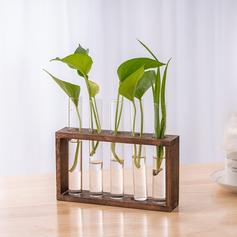 Hydroponic Plants Container wi - Propagation Station Vase บทวิจารณ์และราคา
