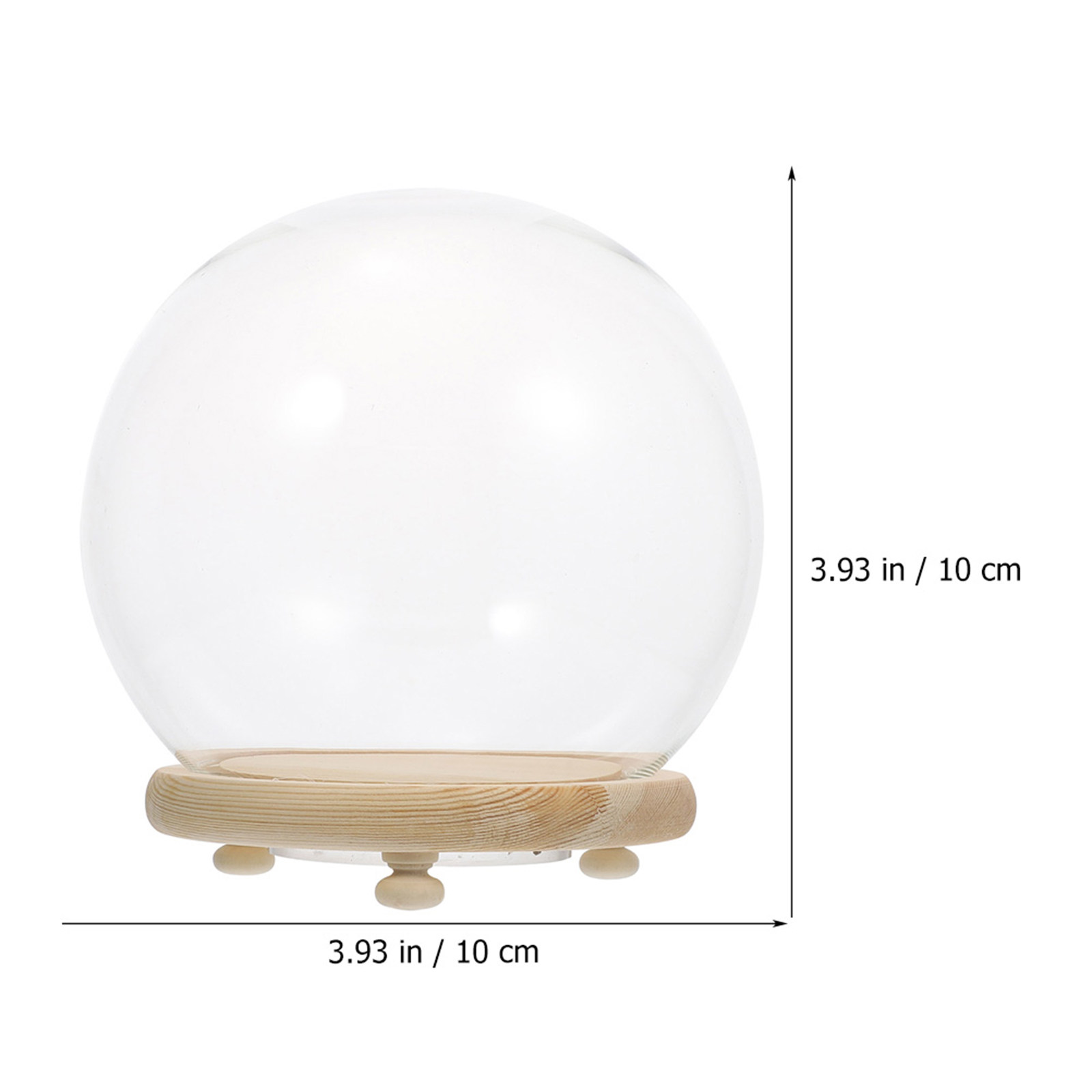 Clear Glass Dome Preserved Flo - Plastic Dome Clear บทวิจารณ์และราคา